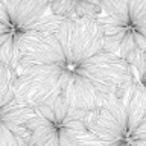 Meet your Posher, Lydia